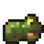 Mire Toad parado
