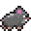 Rat parado
